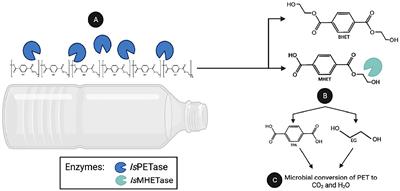 A minireview on the bioremediative potential of microbial enzymes as solution to emerging microplastic pollution